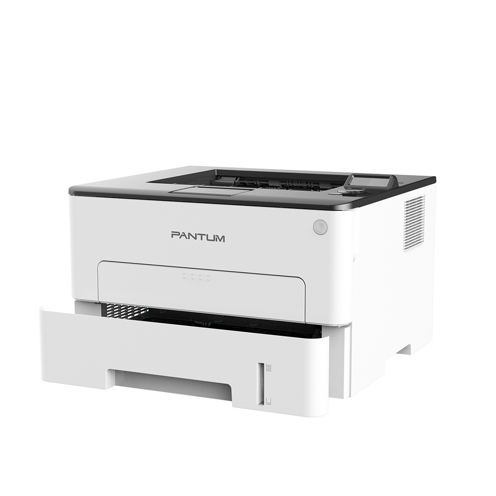 P3012DW Mono laser single function printer