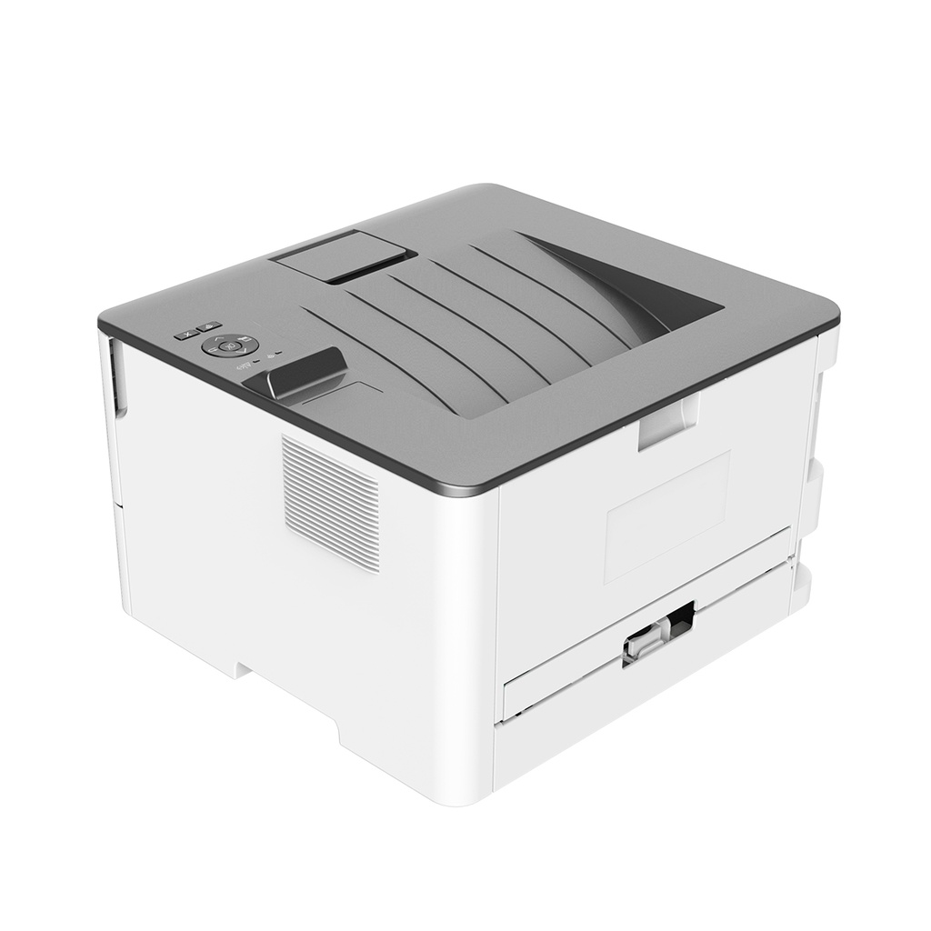P3012DW Mono laser single function printer